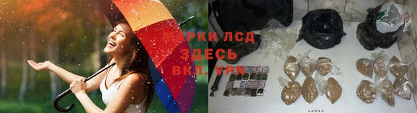 хмурый Алексин