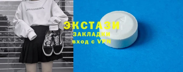 хмурый Алексин